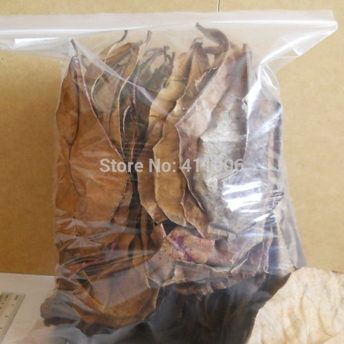 50pcs Grade A Natural Terminalia Catappa Foetida Leaves Island Almond Leaf fish Cleaning/Treatment aquarium Tank free shipping